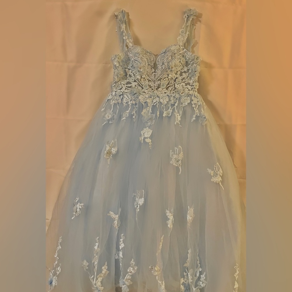 Cinderella Themed Size 14 Prom and Special Occasion Dress - Picture 5 of 7